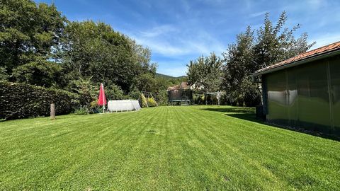 photo no. 12