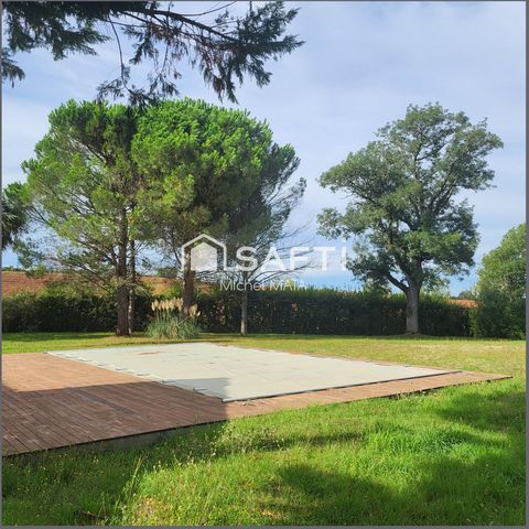 photo no. 11