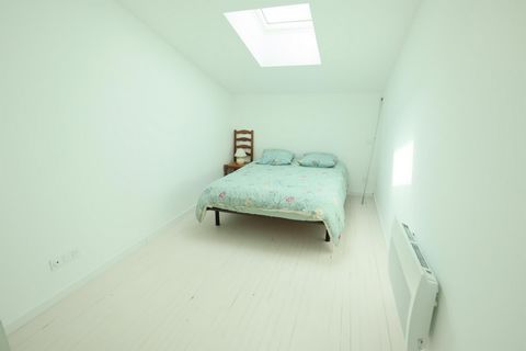 photo no. 6