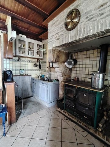 photo no. 8