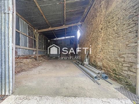 photo no. 13