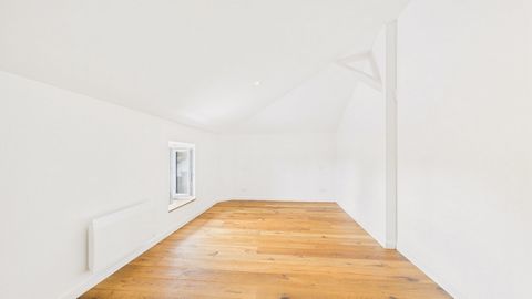photo no. 11