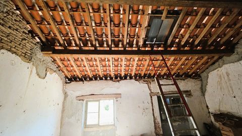 photo no. 14