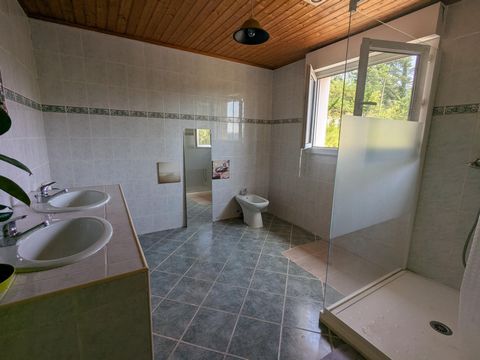 photo no. 10