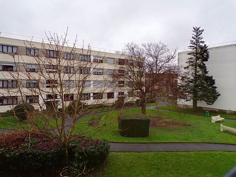 photo no. 6