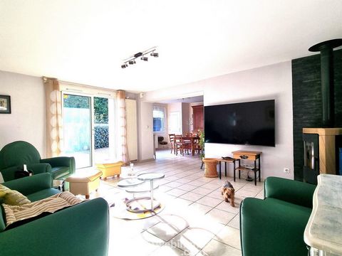 photo no. 9