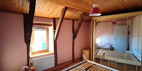 photo no. 9
