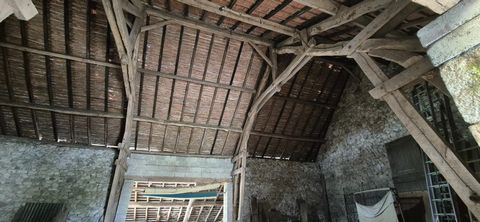 photo no. 16