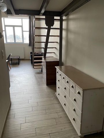photo no. 4