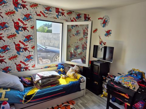photo no. 11