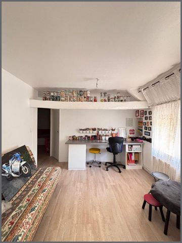 photo no. 9