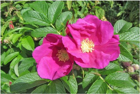 Verbringen Sie die schönsten Tage des Jahres in unserem neu erbauten Appartement Gutenberg. Die Wohnung befindet sich in der ersten Etage.