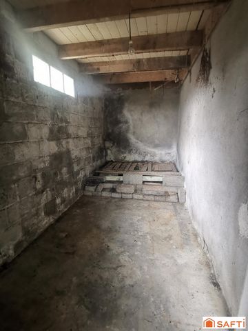 photo no. 13