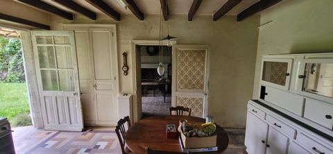 photo no. 15