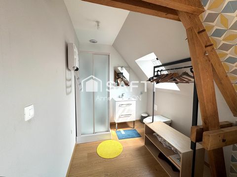 photo no. 16