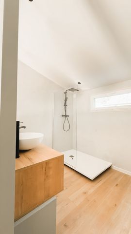 photo no. 11