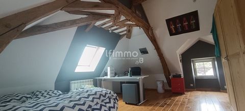 photo no. 18