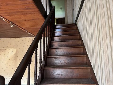 photo no. 10