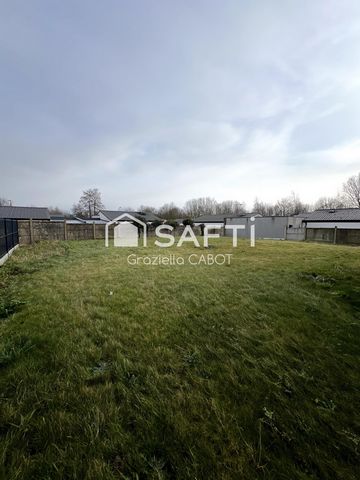 photo no. 11