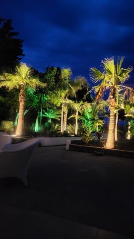 photo no. 11