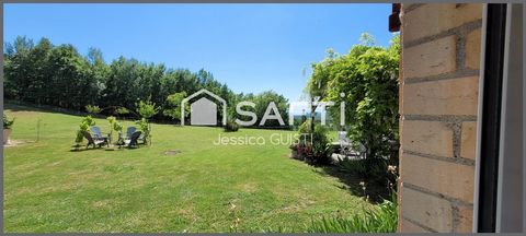photo no. 12