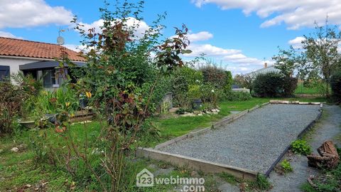 photo no. 15