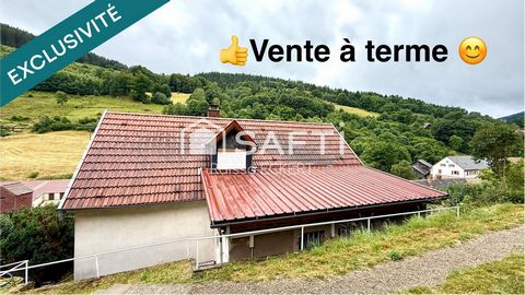 Maison, terrain et forêt