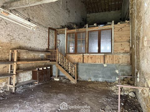 photo no. 14