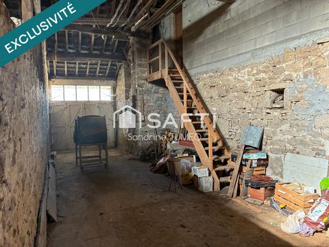 photo no. 10