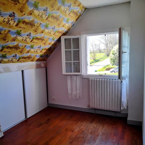 photo no. 9