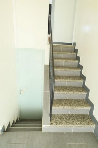 photo no. 6