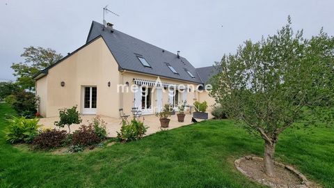 photo no. 1