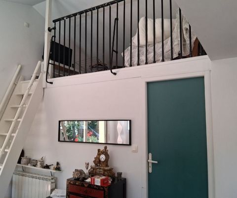 photo no. 9