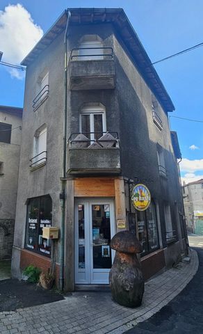 photo no. 4