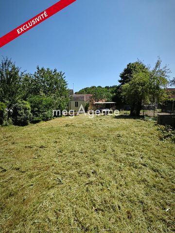 photo no. 9