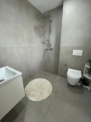 photo no. 6
