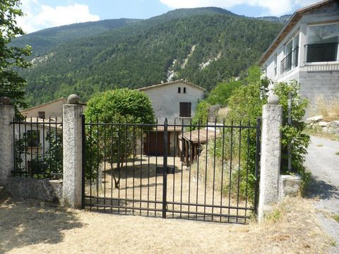 photo no. 6
