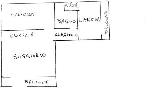 photo no. 14