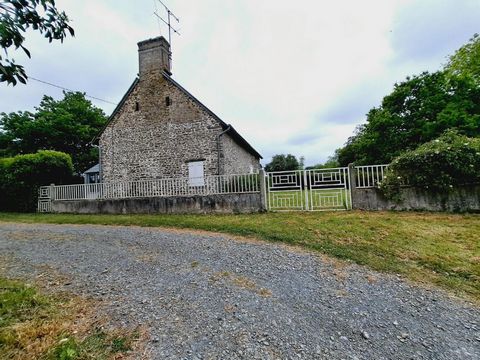 photo no. 4