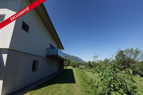 photo no. 10