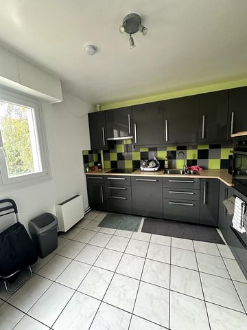 photo no. 3