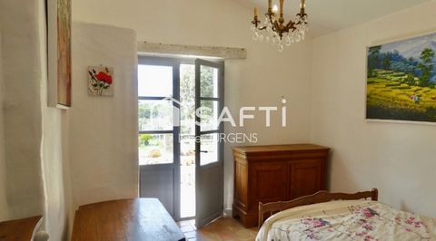 photo no. 11