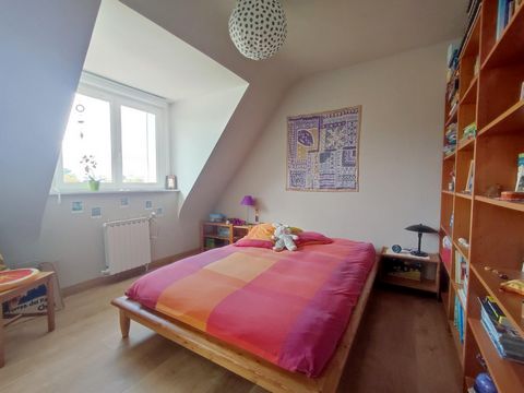 photo no. 12