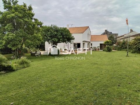 photo no. 8
