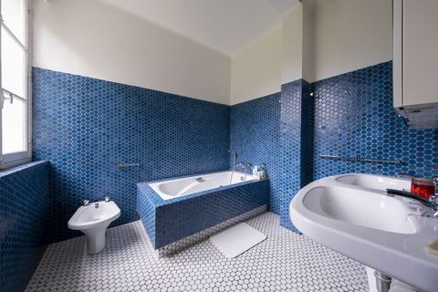 photo no. 11