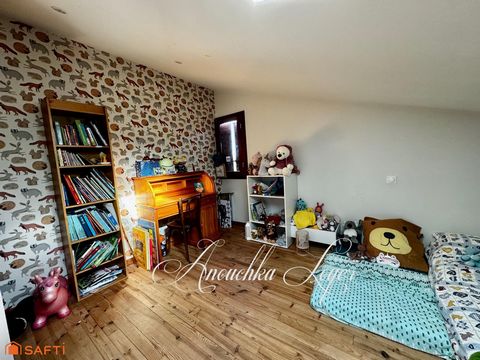 photo no. 6