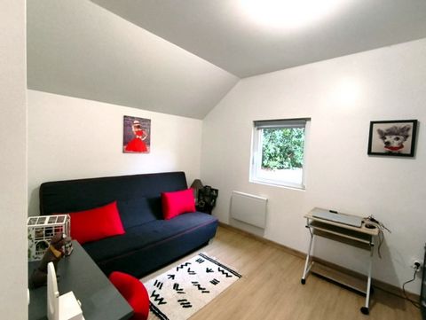 photo no. 19