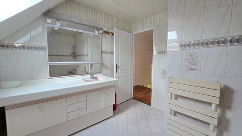 photo no. 12