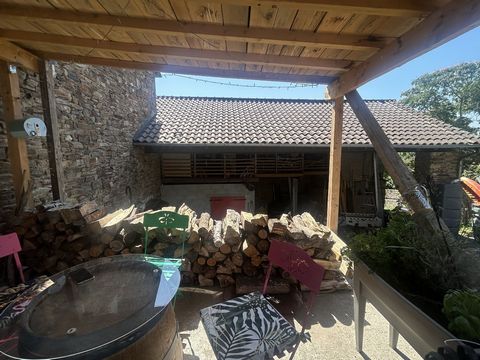 photo no. 12