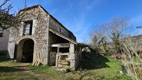 photo no. 4